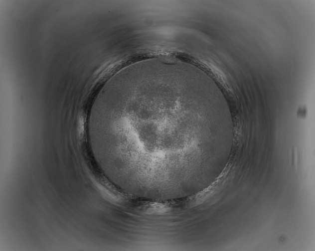 X0000098170166200804241204