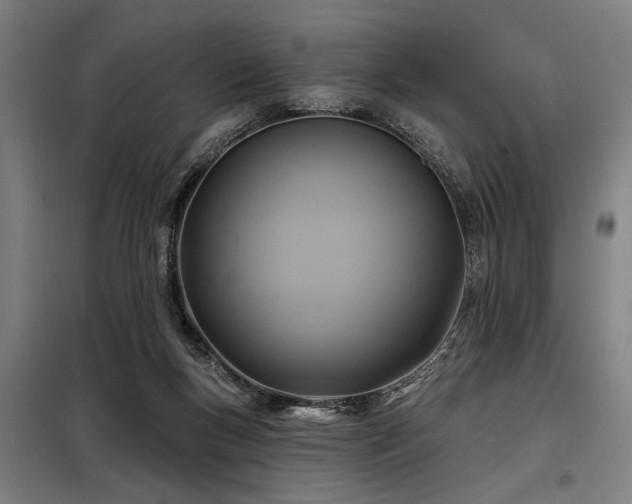 X0000098170167200804241204