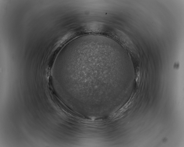 X0000098170168200804241204