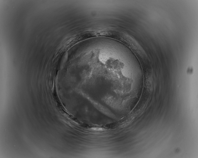 X0000098170169200804241204