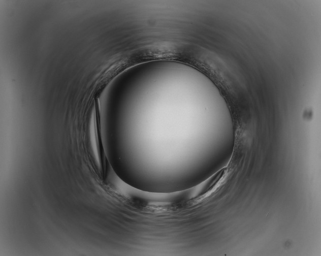 X0000098170170200804241204