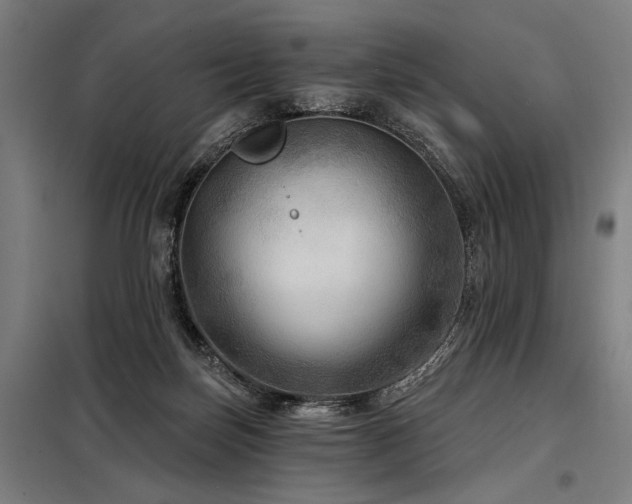 X0000098170171200804241204