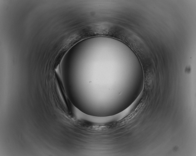 X0000098170172200804241204