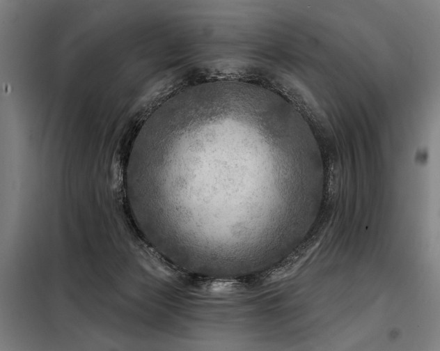 X0000098170173200804241204