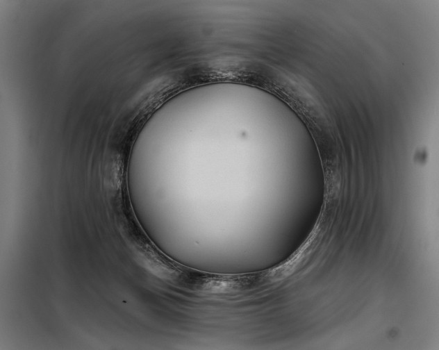 X0000098170174200804241204