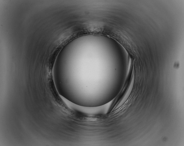 X0000098170176200804241204