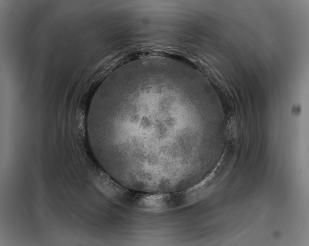 X0000098170178200804241204