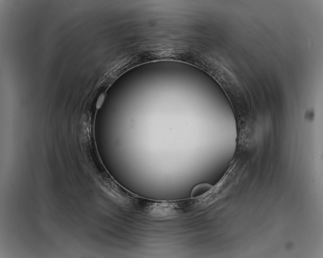 X0000098170179200804241204