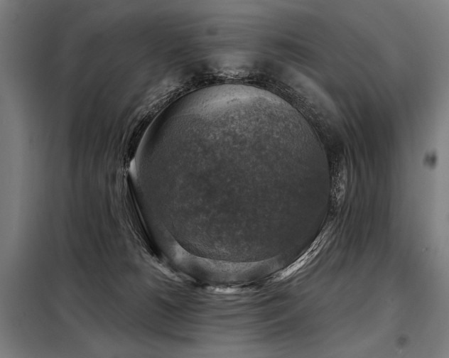 X0000098170180200804241204