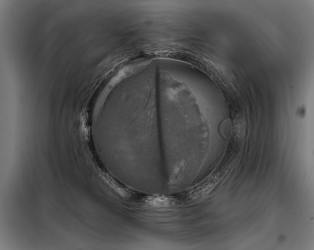 X0000098170181200804241204