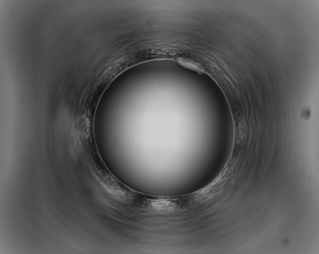 X0000098170183200804241204