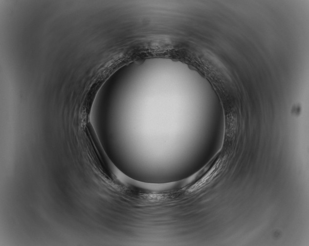 X0000098170184200804241204