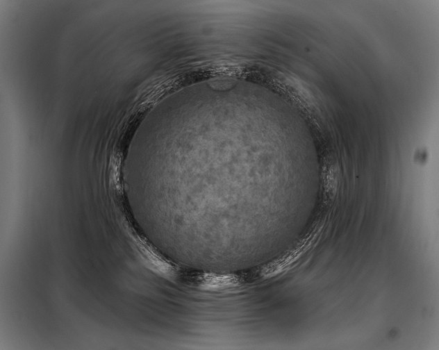 X0000098170185200804241204