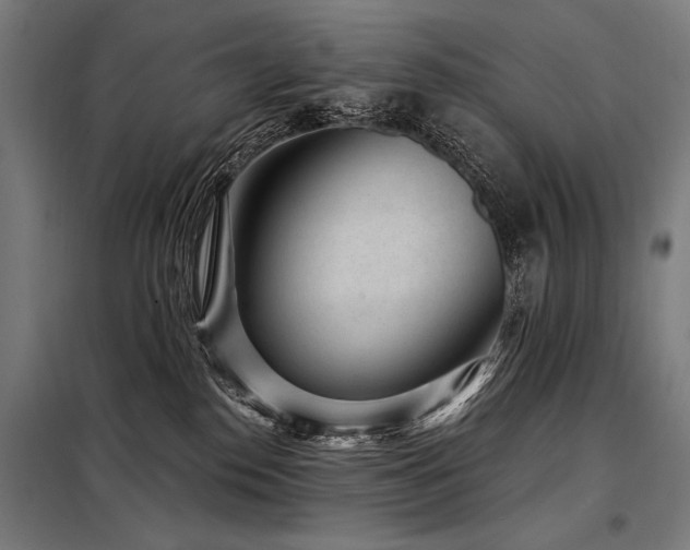 X0000098170186200804241204