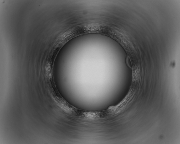 X0000098170187200804241204