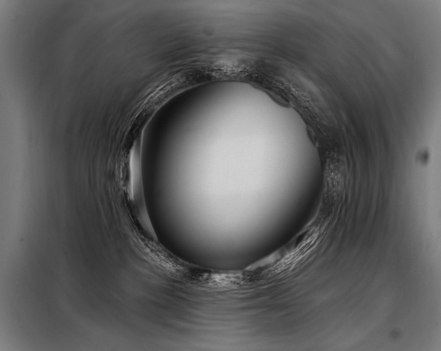 X0000098170188200804241204