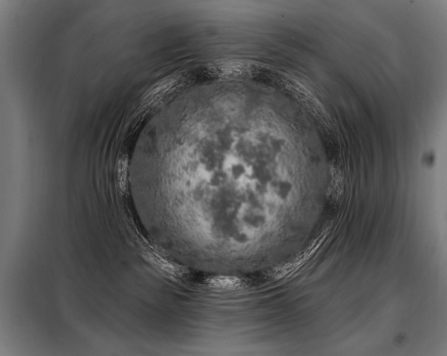 X0000098170189200804241204