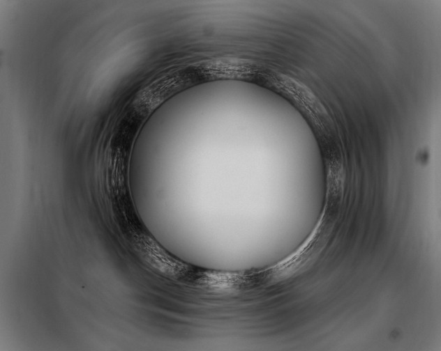 X0000098170190200804241204