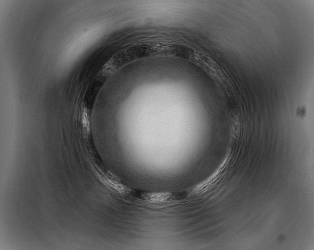 X0000098170191200804241204