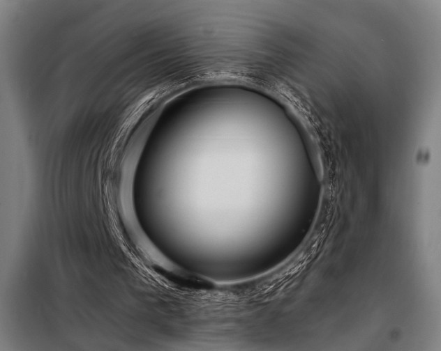 X0000098170193200804241203