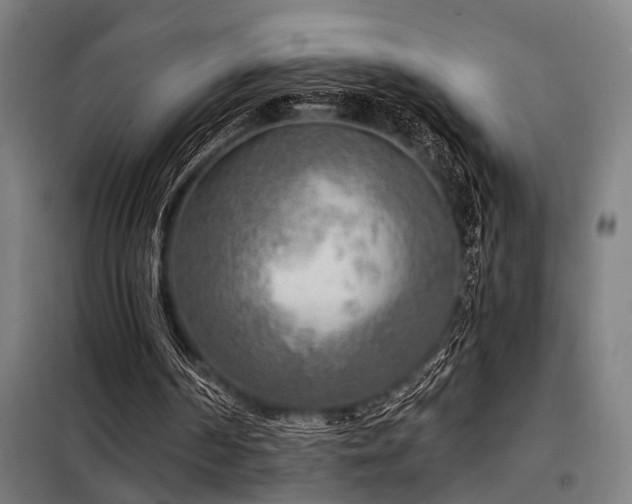 X0000098170194200804241203