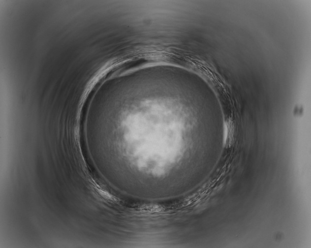 X0000098170195200804241203