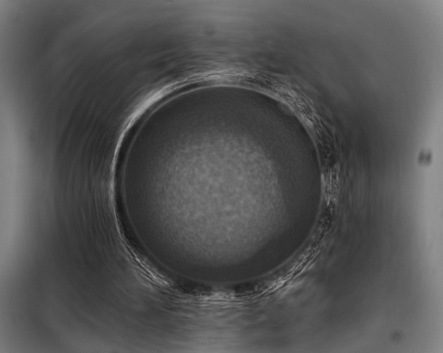 X0000098170196200804241203