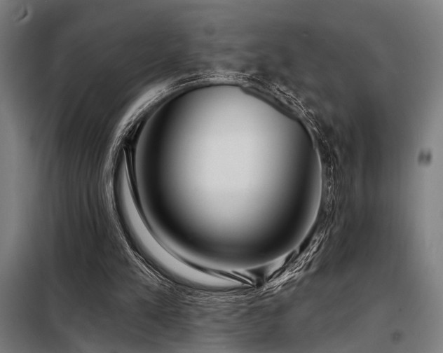 X0000098170197200804241203