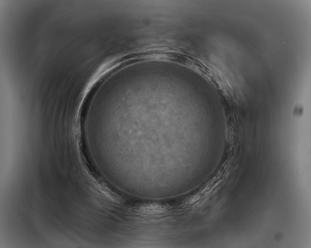 X0000098170198200804241203