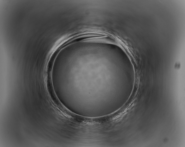 X0000098170199200804241203