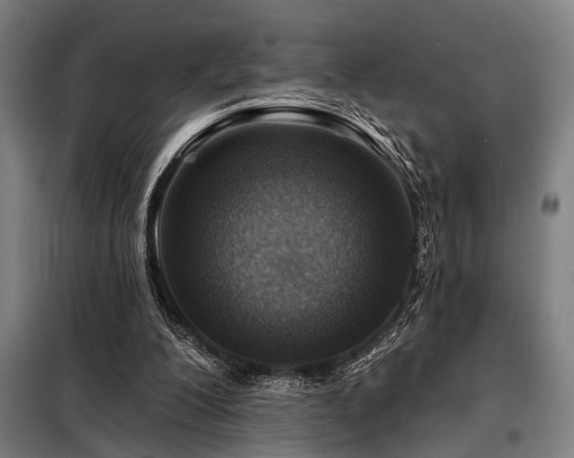 X0000098170200200804241203