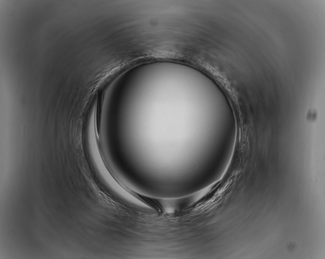 X0000098170201200804241203