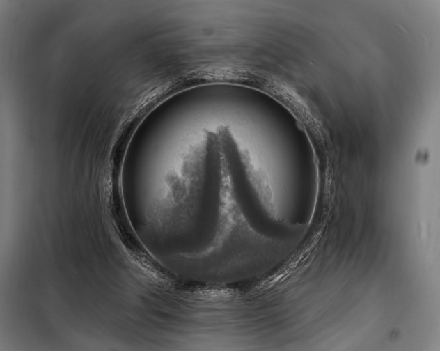 X0000098170202200804241203