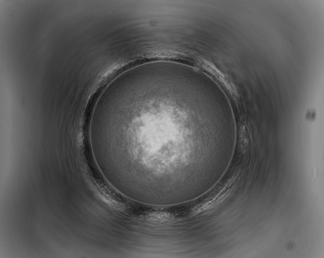 X0000098170203200804241203