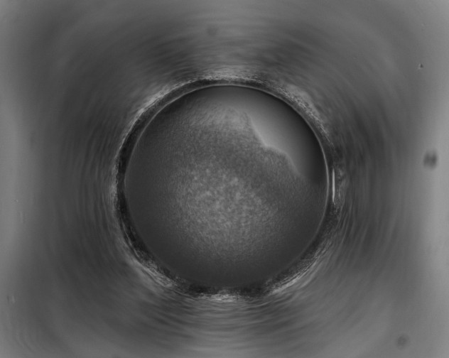 X0000098170204200804241203