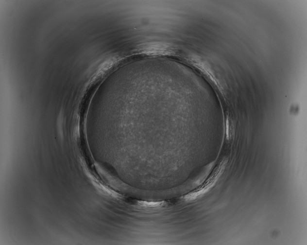 X0000098170205200804241203