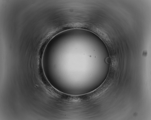 X0000098170206200804241203