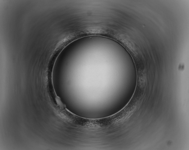 X0000098170207200804241203