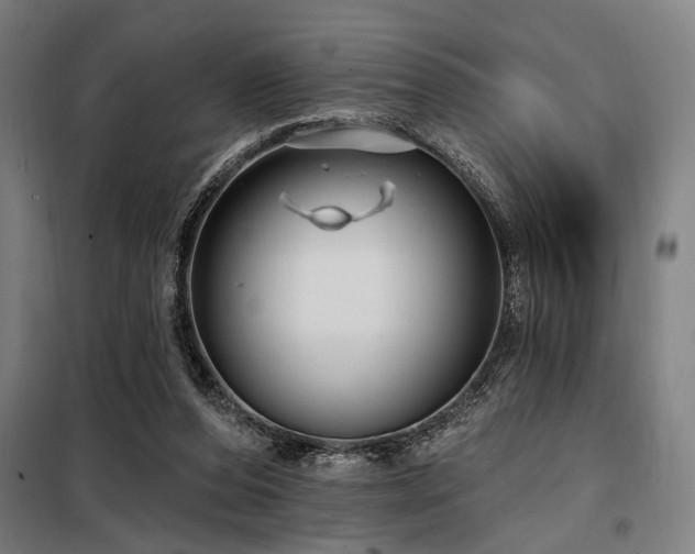 X0000098170208200804241203