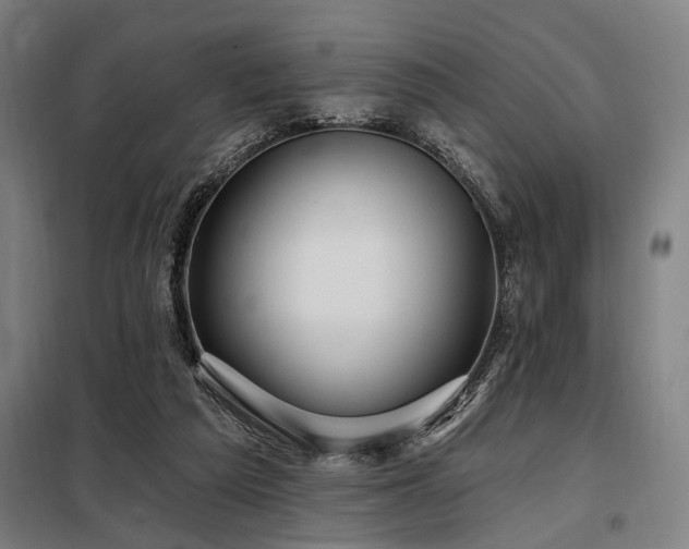 X0000098170209200804241203