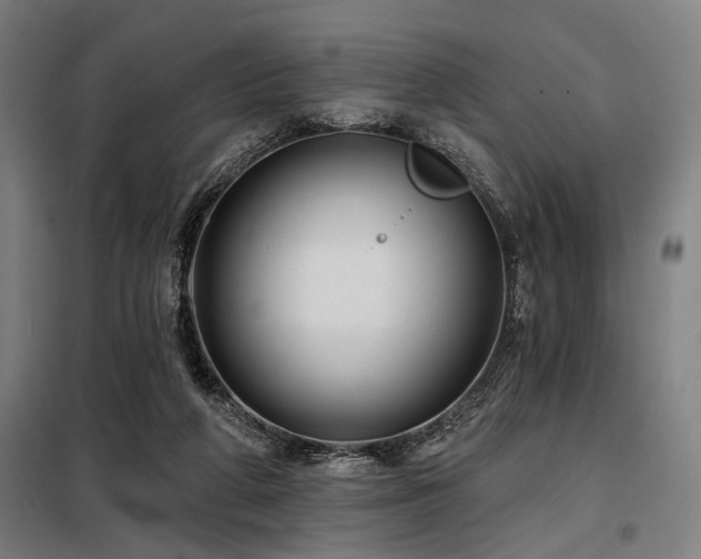 X0000098170210200804241203