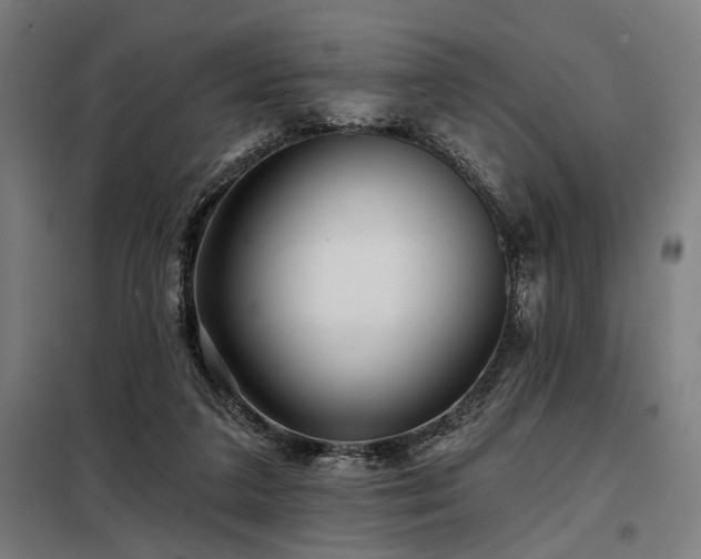 X0000098170211200804241203