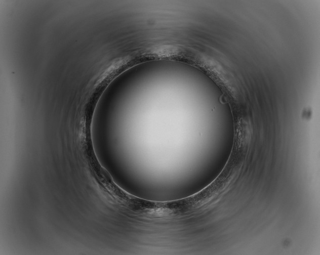 X0000098170212200804241203