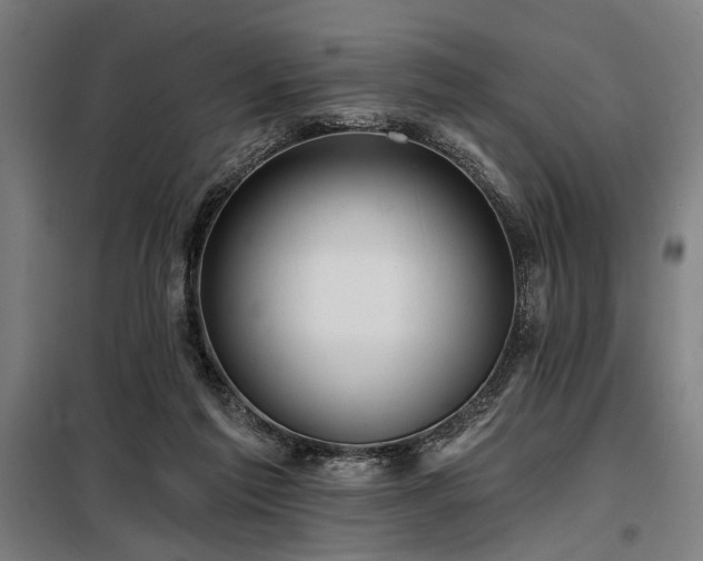 X0000098170213200804241203