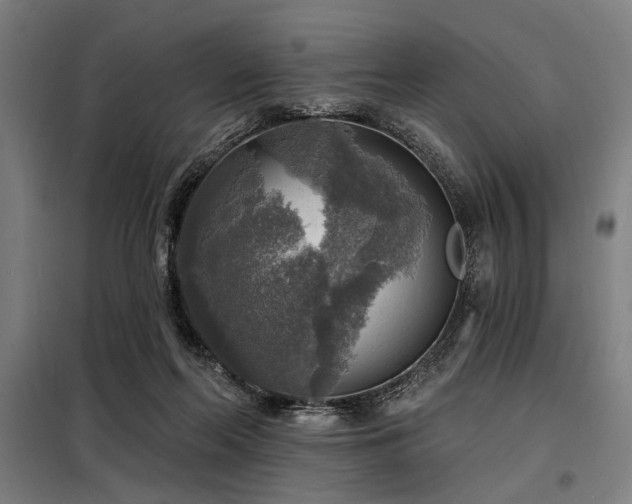 X0000098170214200804241203