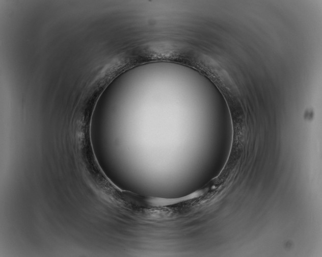 X0000098170215200804241203