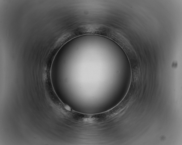 X0000098170216200804241203