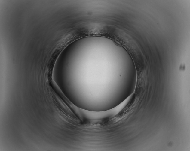 X0000098170217200804241203