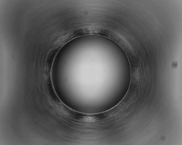 X0000098170218200804241203