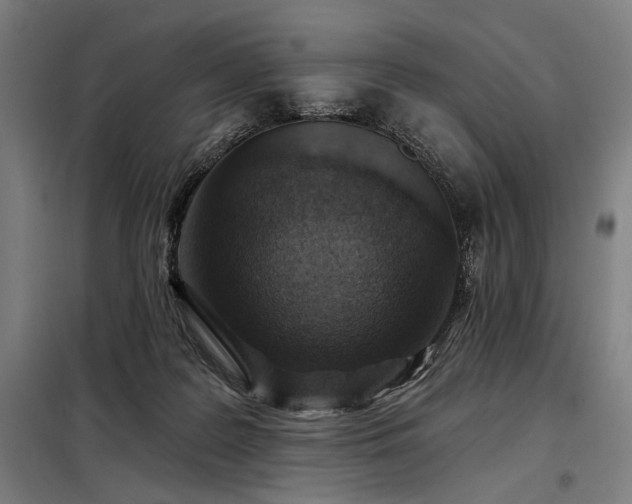 X0000098170219200804241203